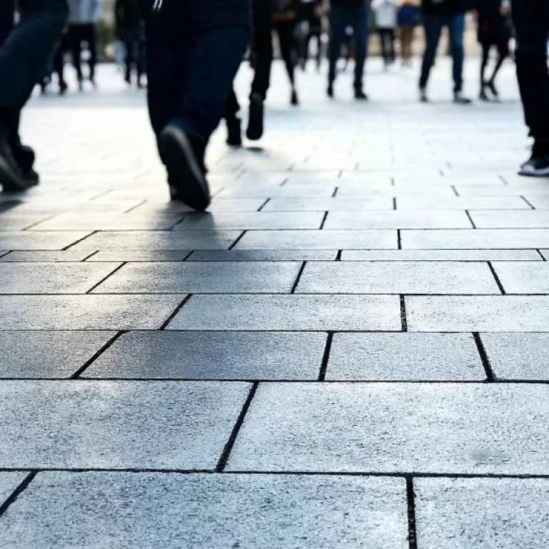 Comment assurer un suivi budgétaire efficace pour la rénovation avec ma-gestion-renovation.fr